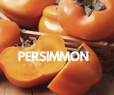Persimmon Perfume Oil Body Spray Fragrance Solid Fresh Fruity Scent