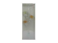 Pupa Bouquet de Parfums 3×15 ml EDP Spray Orange SaharaVert PrintempsSolaire